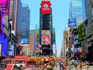 Tour NYC & Niagara Falls - Family Friendly August 2024
